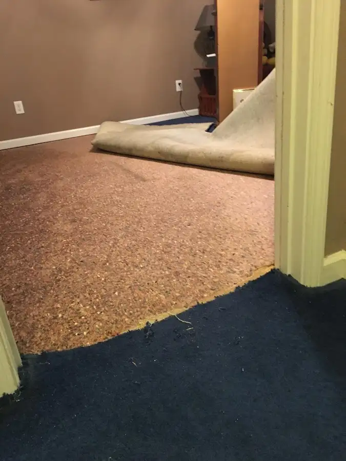 Carpet pad removal revealing water damage during Water Mitigation Services in Little Canada