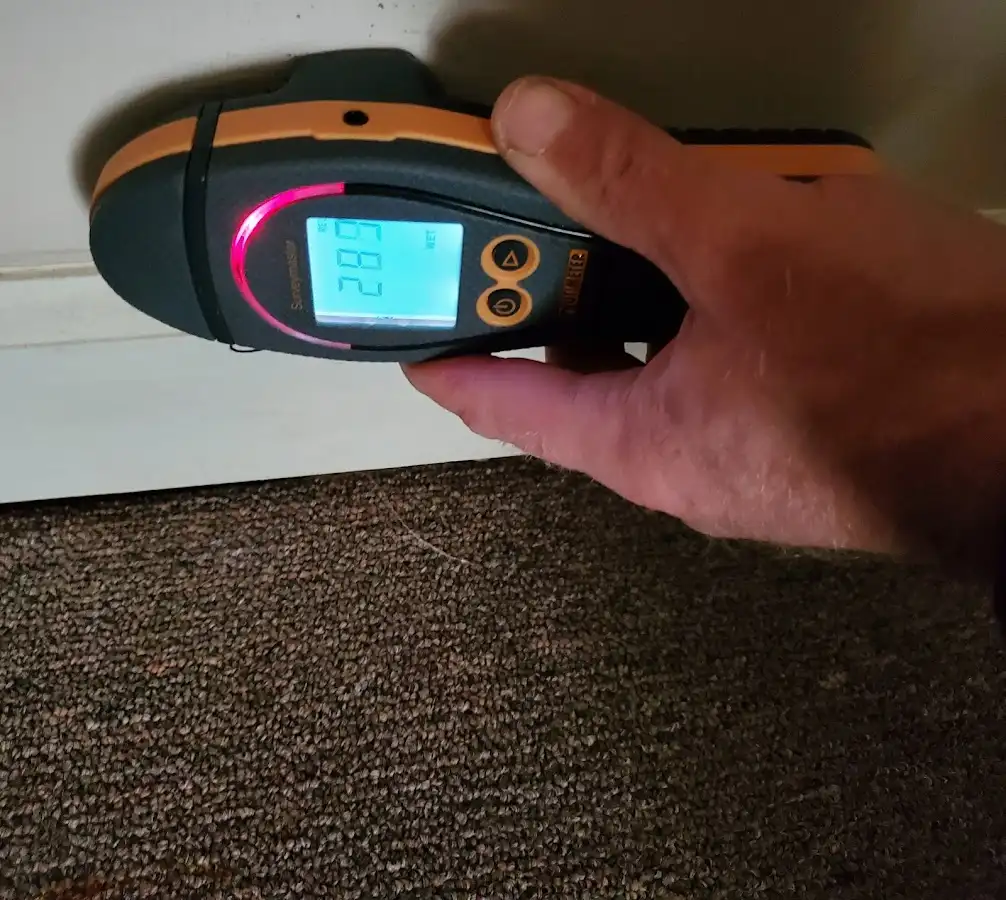 Moisture detection at baseboard during Sewage Cleanup & Sanitation in Little Canada